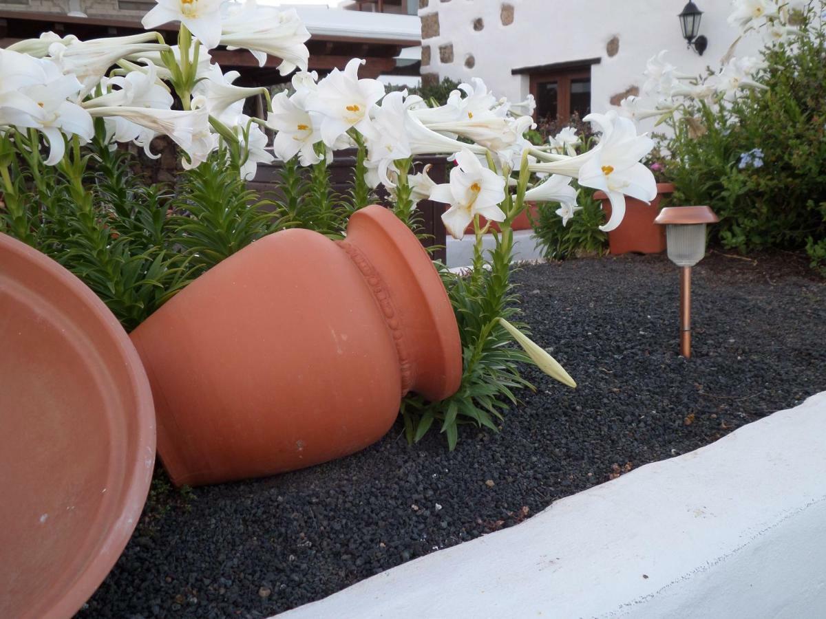 Finca De Los Abuelos Guatiza Eksteriør billede
